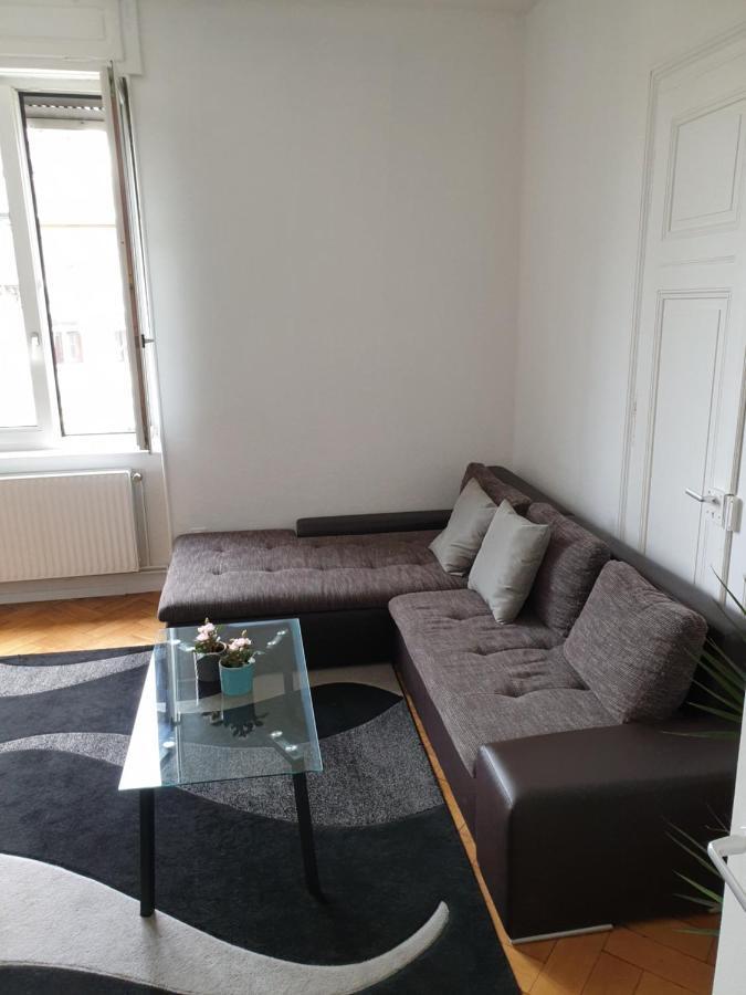 Strasbourg Centre Le 85, Superbe F5, 125M2, 5 Pieces Leilighet Eksteriør bilde